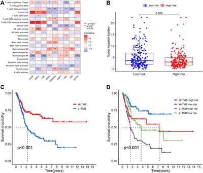 Identification of Immune-Related Genes Associated With Bladder Cancer Based on Immunological Characteristics and Their Correlation With the Prognosis